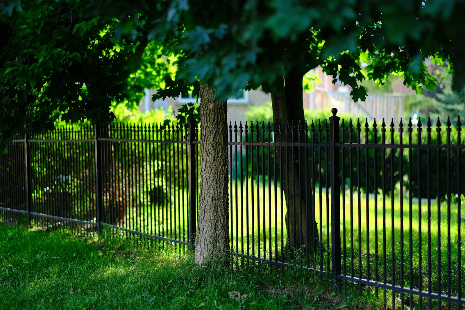 Black powder-coated aluminum fence enclosing a backyard in Columbia, Maryland