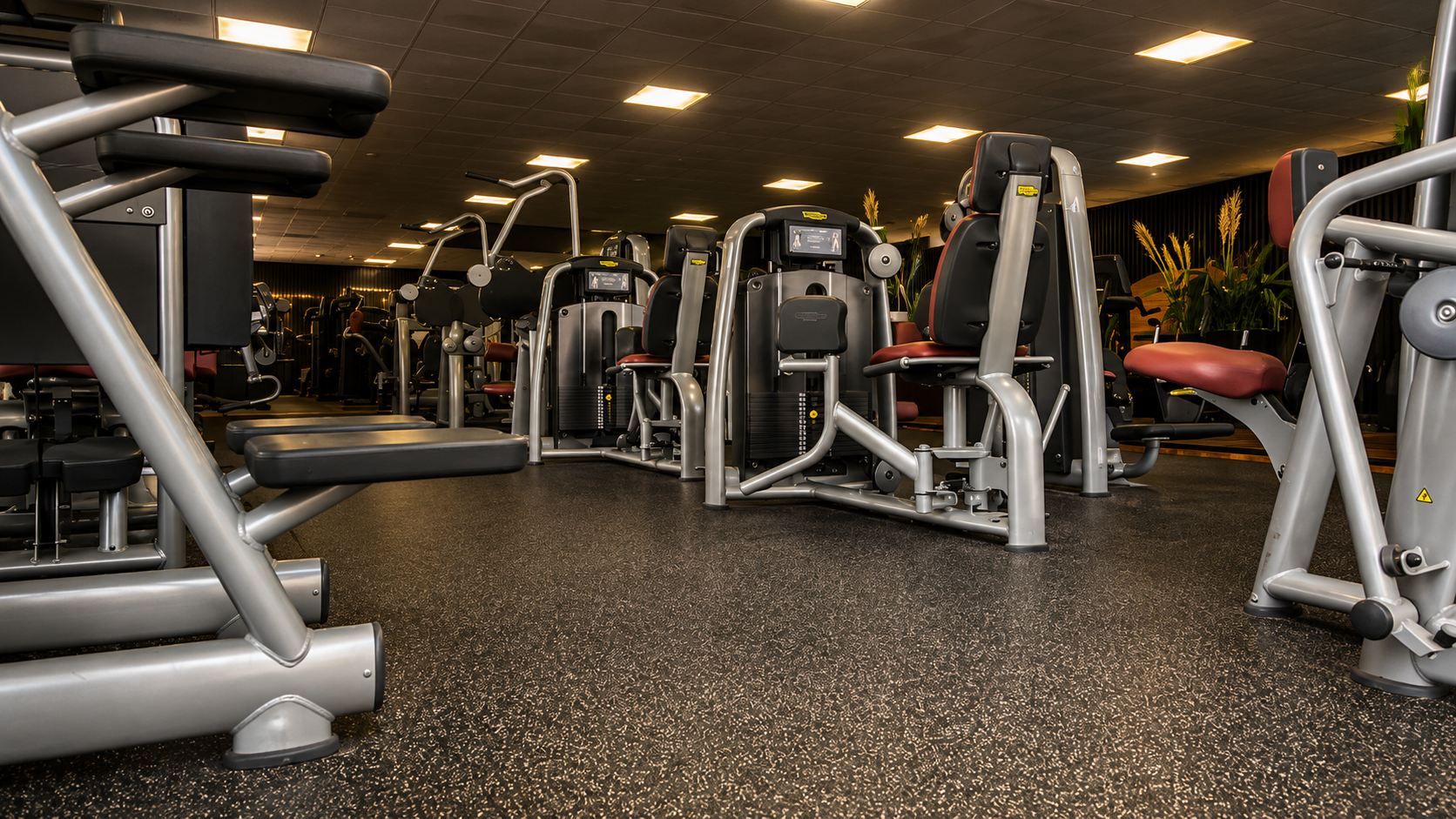 Technogym- und DHZ-Geräte im Fitnessstudio Weilerswist