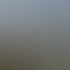 Visualisierung PINUS