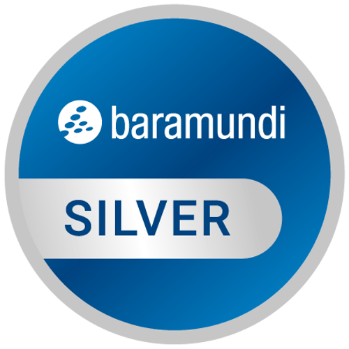 Abzeichen baramundi Silver Partner