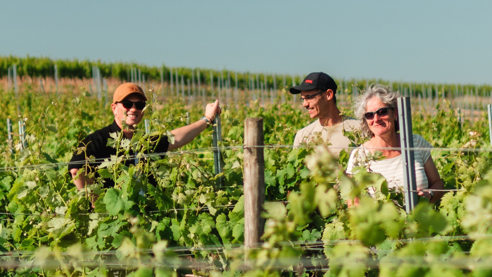Foto Weingut Johanneshof Becker