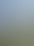 Visualisierung PINUS