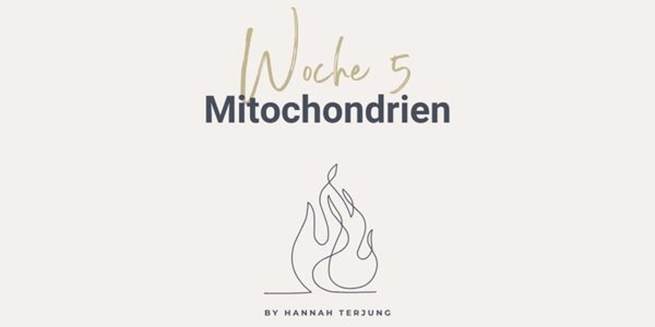 Woche 5