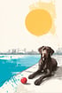 Ein brauner Labrador liegt mit einem roten Ball am Ufer, im Hintergrund eine Stadtkulisse und ein gelber Kreis am Himmel.