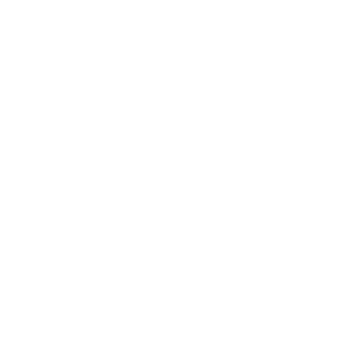 clever fit