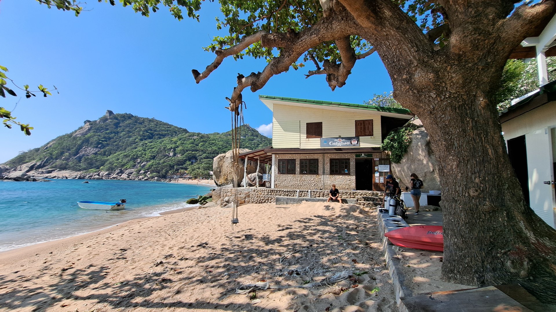 Tauchschein auf Koh Tao: Kosten, Dauer & Ablauf – der ehrliche Guide 2026