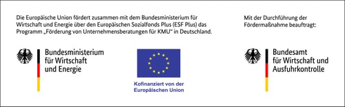 Gefördert durch BMWK, EU und BAFA