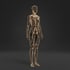 DEIN LYMPHSYSTEM