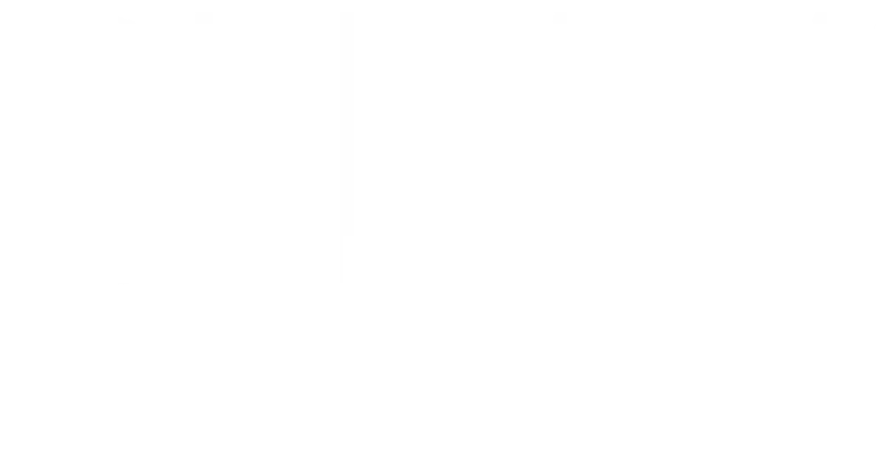 Weißer "BEBAK PROFESSIONAL" Schriftzug auf dunkelgrünem Hintergrund.