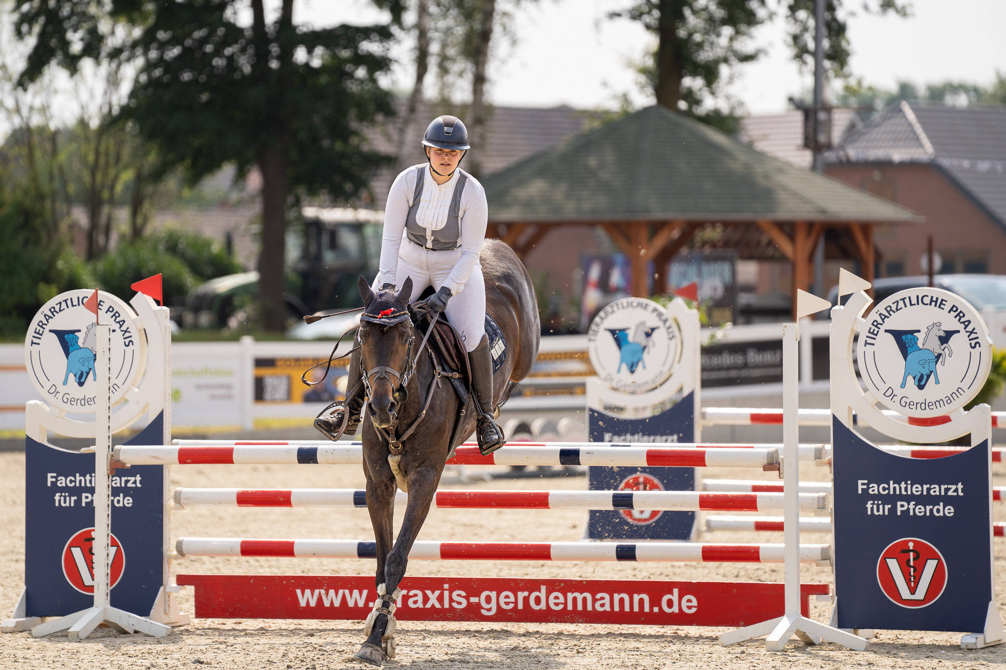 Pferdefotografie von Katharina Middendorp