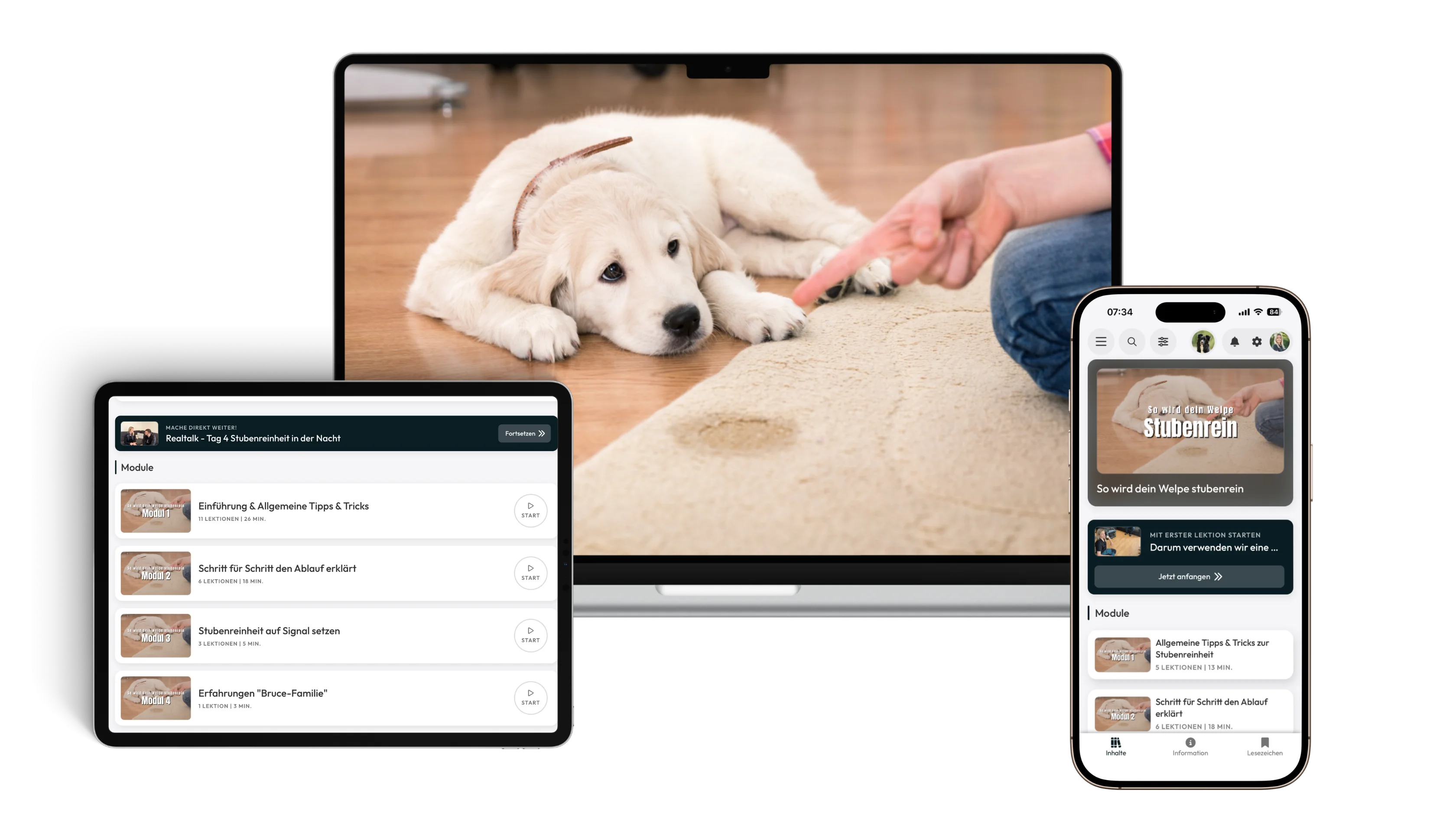 Der Onlinekurs So wird dein Welpe stubenrein auf Laptop, Tablet und Smartphone