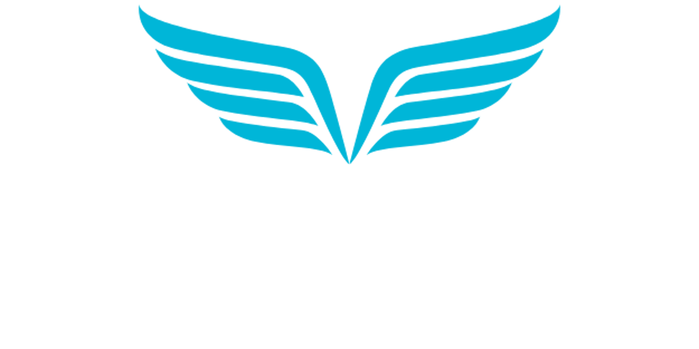 Logo mit blauen Flügeln und Text „SOCIAL WINGS MARKETING“.