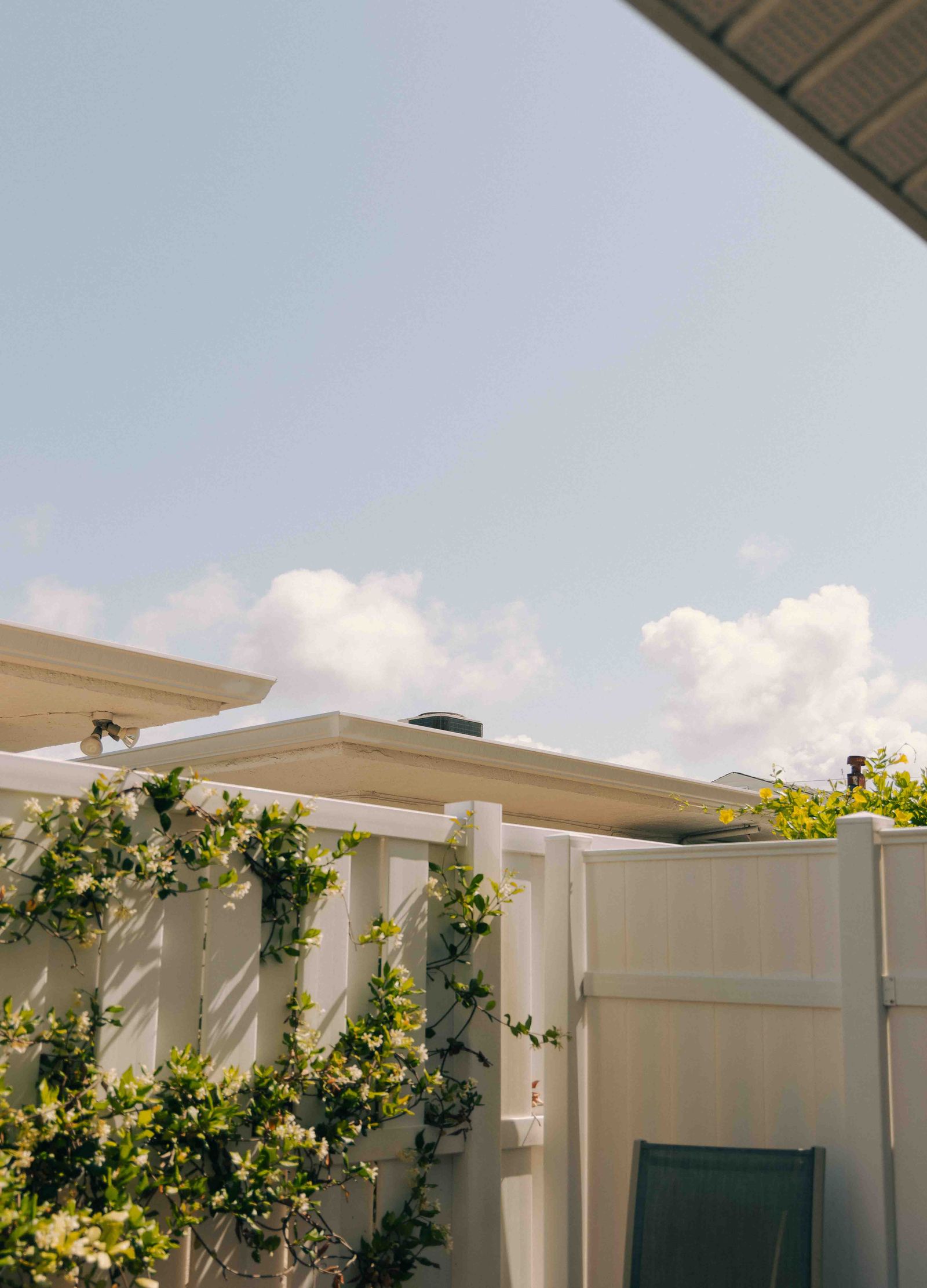 White fence and greenery in a Carmel back yard