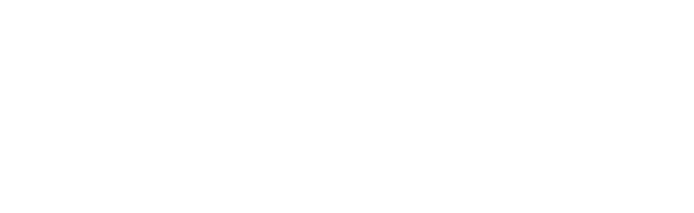 Solarnio Logo in weiß