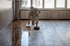 Hausmeisterservice Michelstadt | Ens Hausmeisterservice