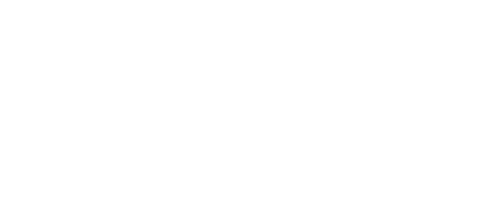 Logo HSI in weiß