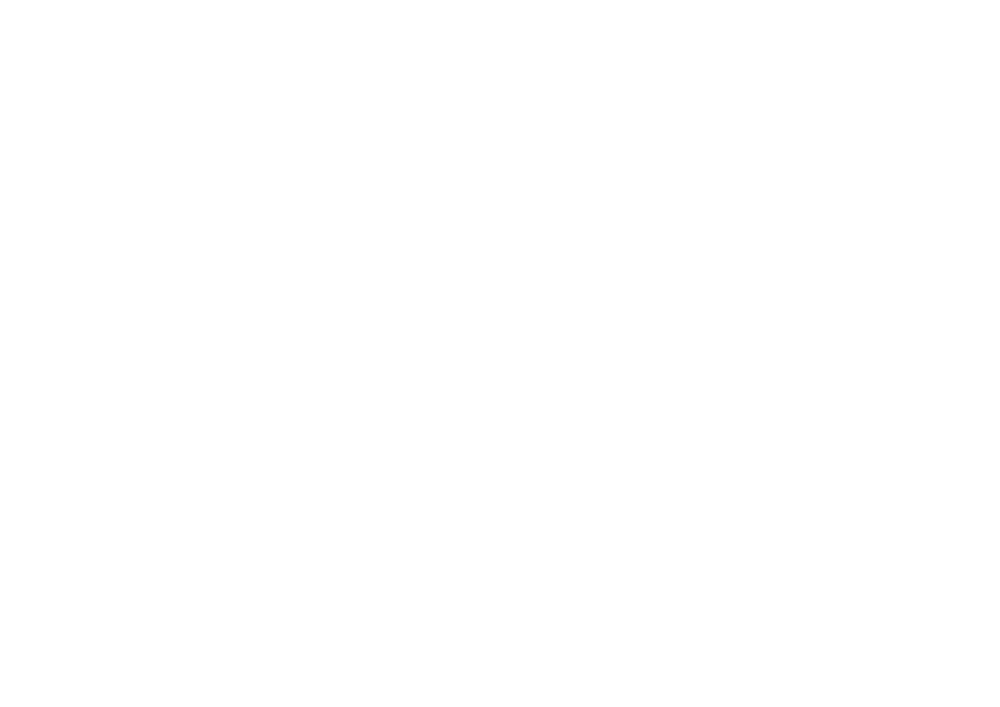 TL Media Logo: Weißes Bergsymbol mit Play-Dreieck, daneben "TL Media UNLOCK SUCCESS" auf grünem Hintergrund.