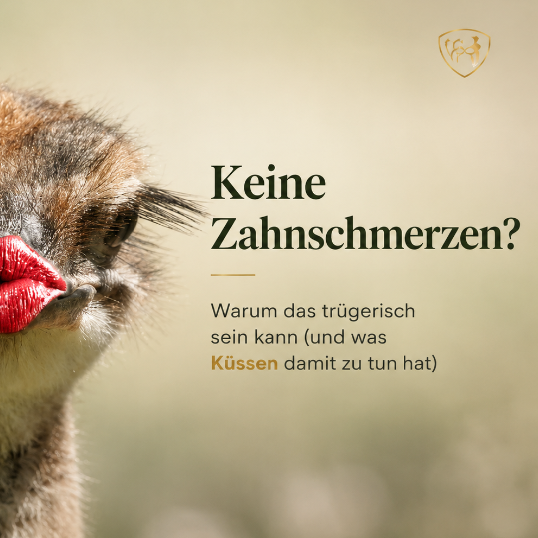 Keine Zahnschmerzen? Warum das trügerisch sein kann (und was Küssen damit zu tun hat)