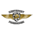 Goldenes Logo mit Flügeln, kariertem Schild, Helm und Text "KARTSPORT FRIESACHER".