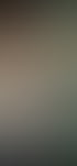 Holzdachkonstruktion Lichtoeffnung