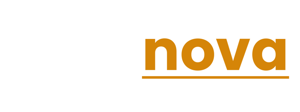 Logo von Paginova Webdesign