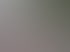 Betonbeschichtung 