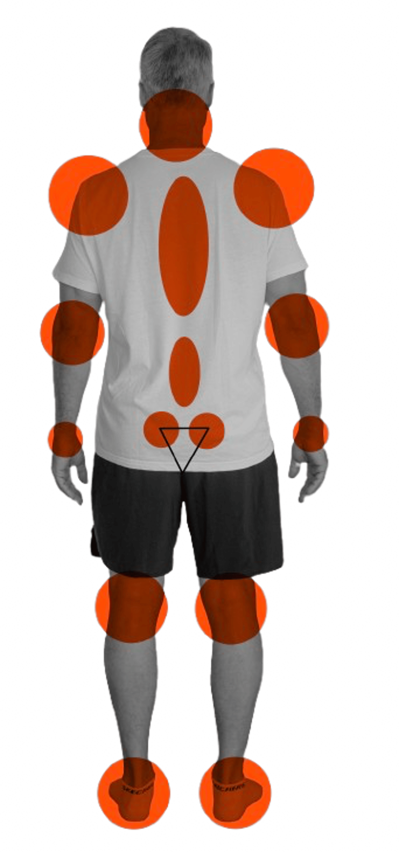 Rückansicht des Körpers