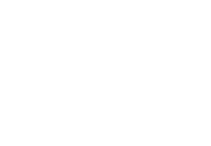 Logo Braunschweiger Veranstaltungsst
