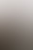 Ein Rechtsanwalt erklärt einer Mandantin (einer älteren Frau) etwas am Computerbildschirm in seiner Kanzlei. Dies illustriert die persönliche Beratung.