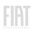 Weißes Fiat Professional Logo auf grünem Hintergrund.