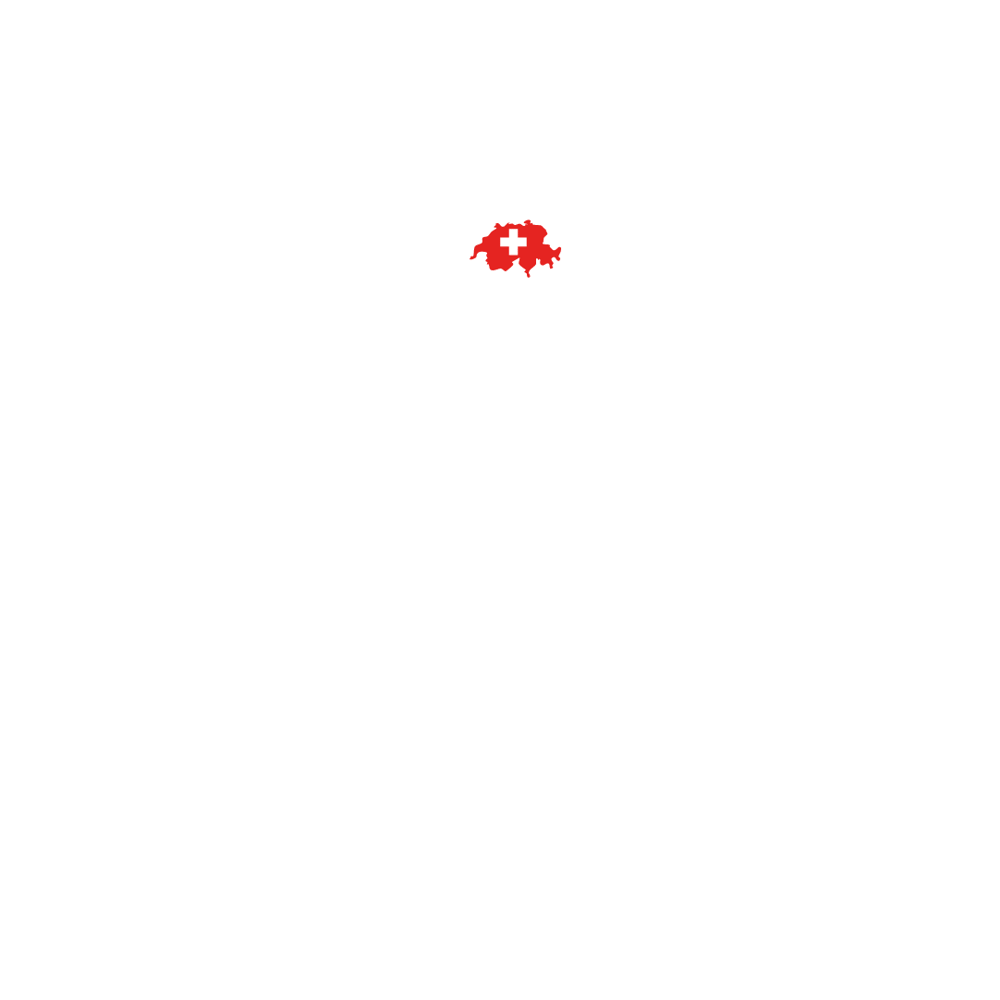 MSA GmbH Logo: Weißer Globus, rote Schweiz, schwarzer Text "CORPORATION MSA GMBH" auf grünem Hintergrund.
