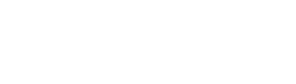 Weißes Logo der Phönix Maxpool Gruppe mit einem stilisierten Vogel-Symbol auf schwarzem Hintergrund.