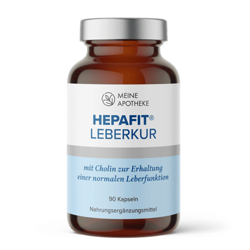 HEPAFIT Leberkur