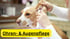 Ein lächelnder Mann macht ein Herzsymbol mit seinen Händen neben zwei Hunden; Text: "PRODUKTWELT".