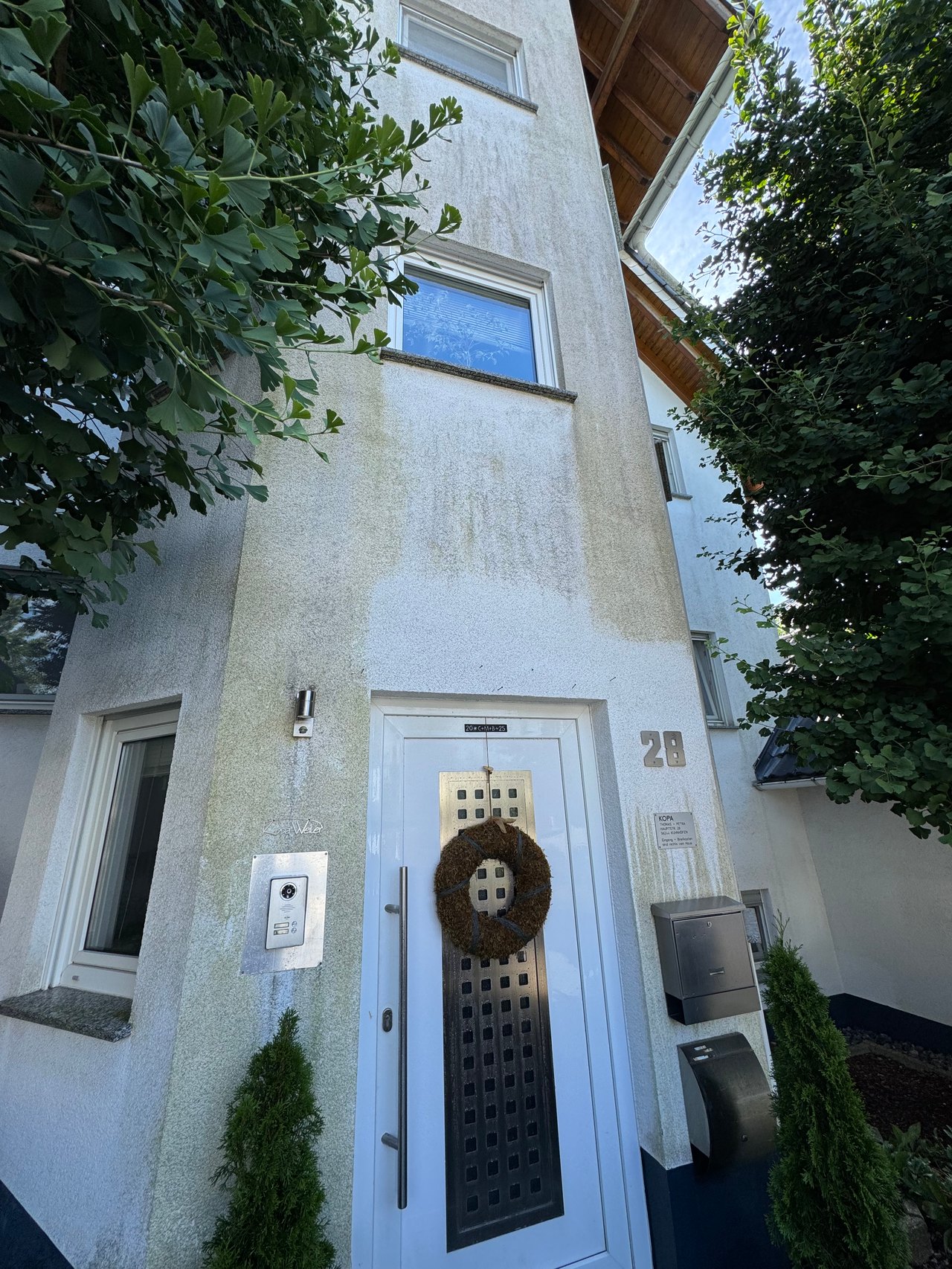 Verschmutzte Hausfassade mit Algen, Grünbelag und Wetterspuren