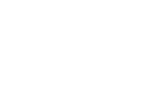 PalmTech Consulting