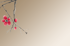 Rote Kirschblüten an einem filigranen Zweig vor einem beigen, minimalistischen Hintergrund im japanischen Stil.