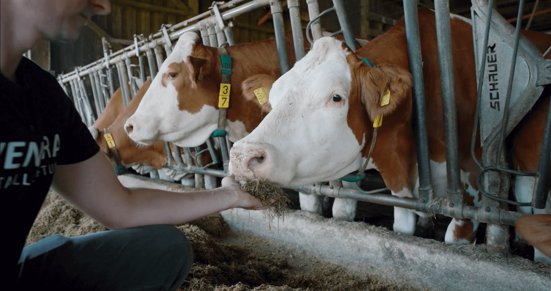 Recruiting – Video 3