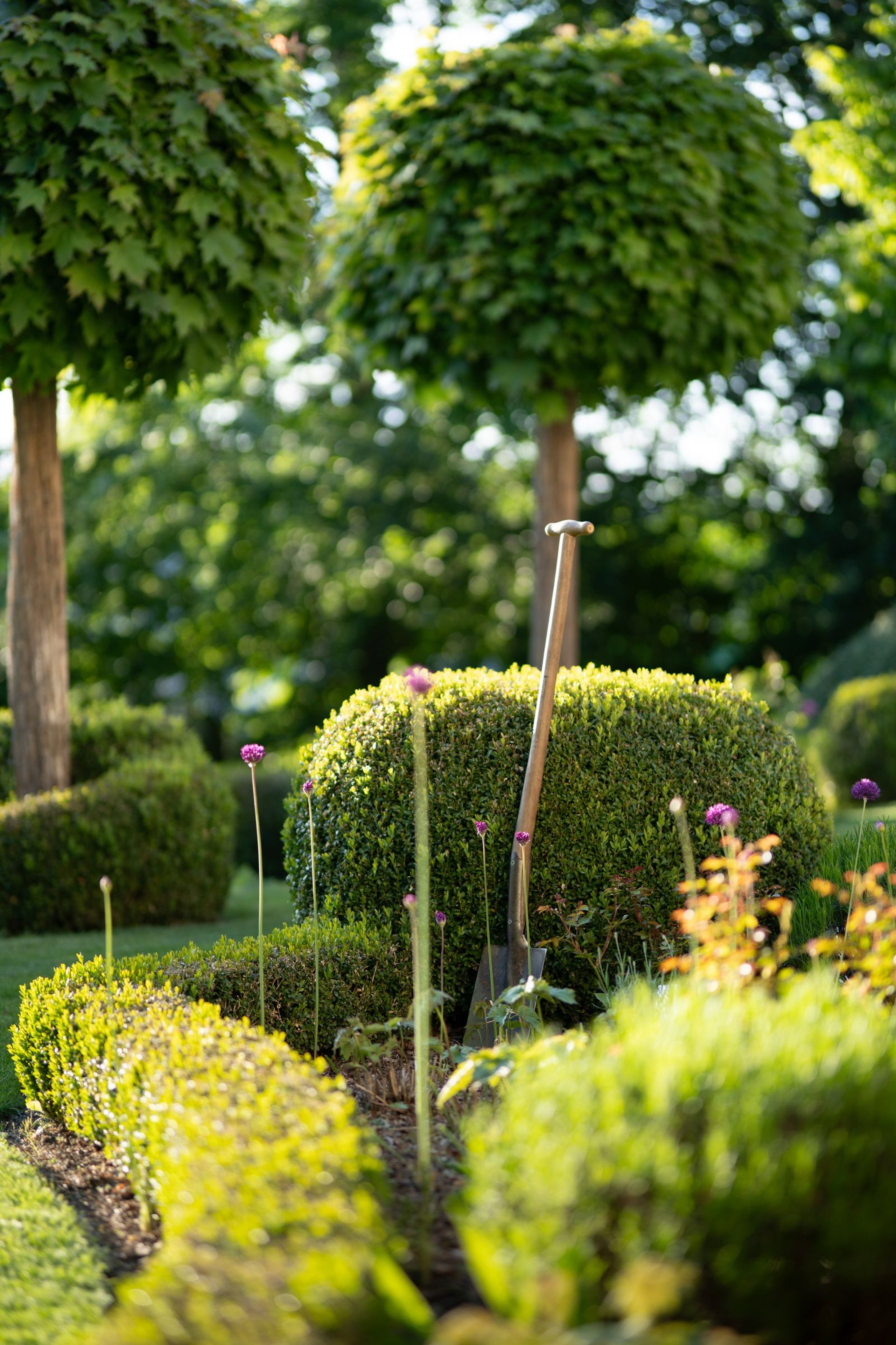 Ihr Garten in erfahrenen Händen