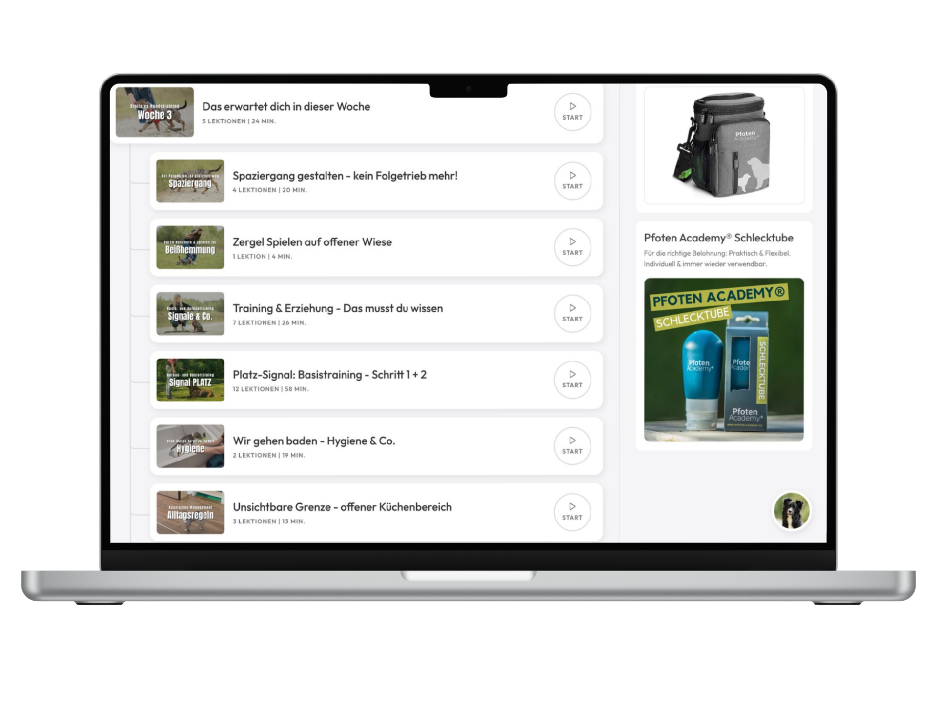 Digitaler Welpenkurs – Bild 4
