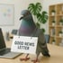 Eine Taube, die Hannes Zwetschke Good News Letter bringt