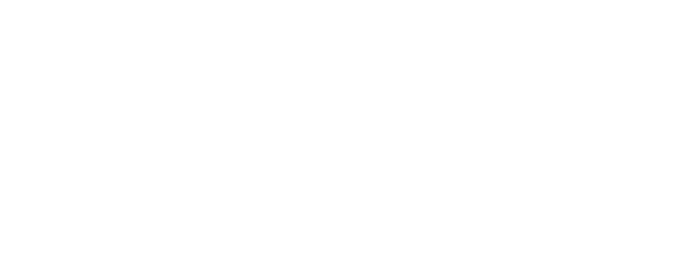 The words "PALATIUM SOLIS" in white on a dark green background. The "O" in "SOLIS" has a circle and wavy lines inside.