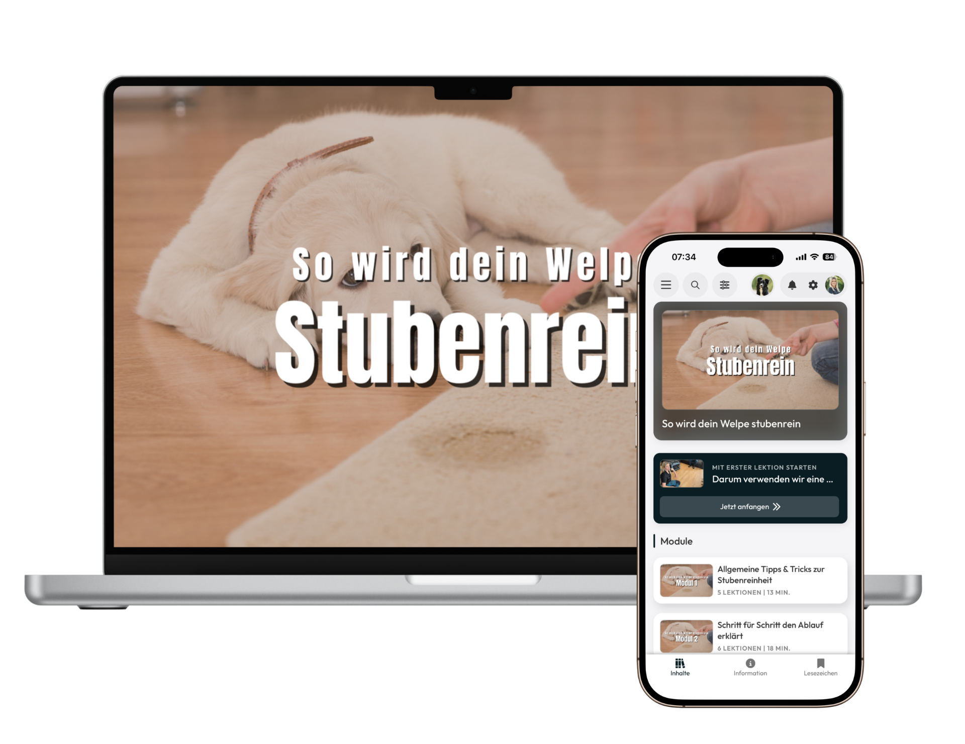 Stubenreinheit Welpe