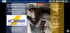 Hohner Stuckateur Tuttlingen Website
