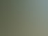 Forstservice Frankfurt (Oder) | Forstservice Winnige