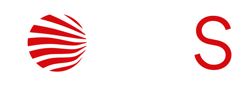 H3S Logo