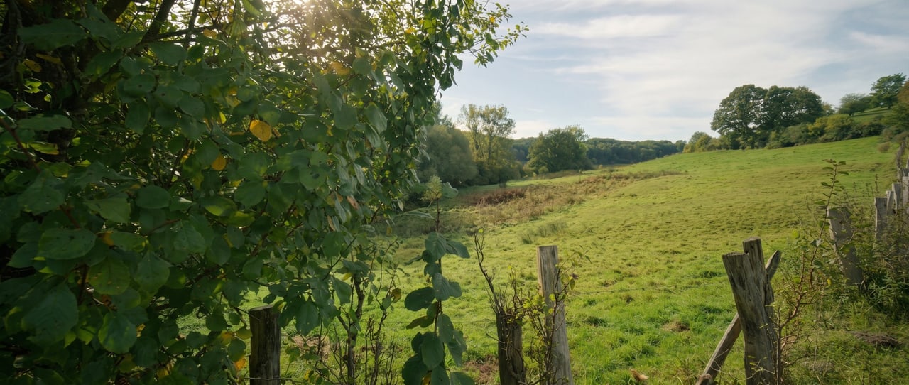 Weidezaun und Wiesen am Ortsrand von Bad Wünnenberg
