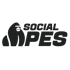 Schwarzes Gorilla-Logo mit dem Text „SOCIAL APES“ auf dunkelgrünem Hintergrund.