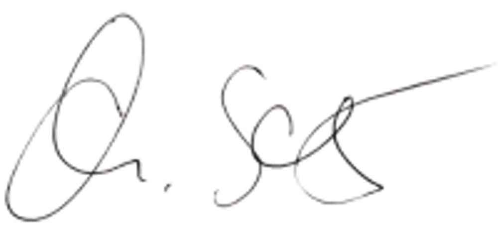 Unterschrift in schwarzer Handschrift auf grünem Hintergrund: "Lara Croft"