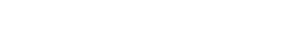 Logo von Webgänger mit stilisierter Krone und Schriftzug in Weiß auf grünem Hintergrund.